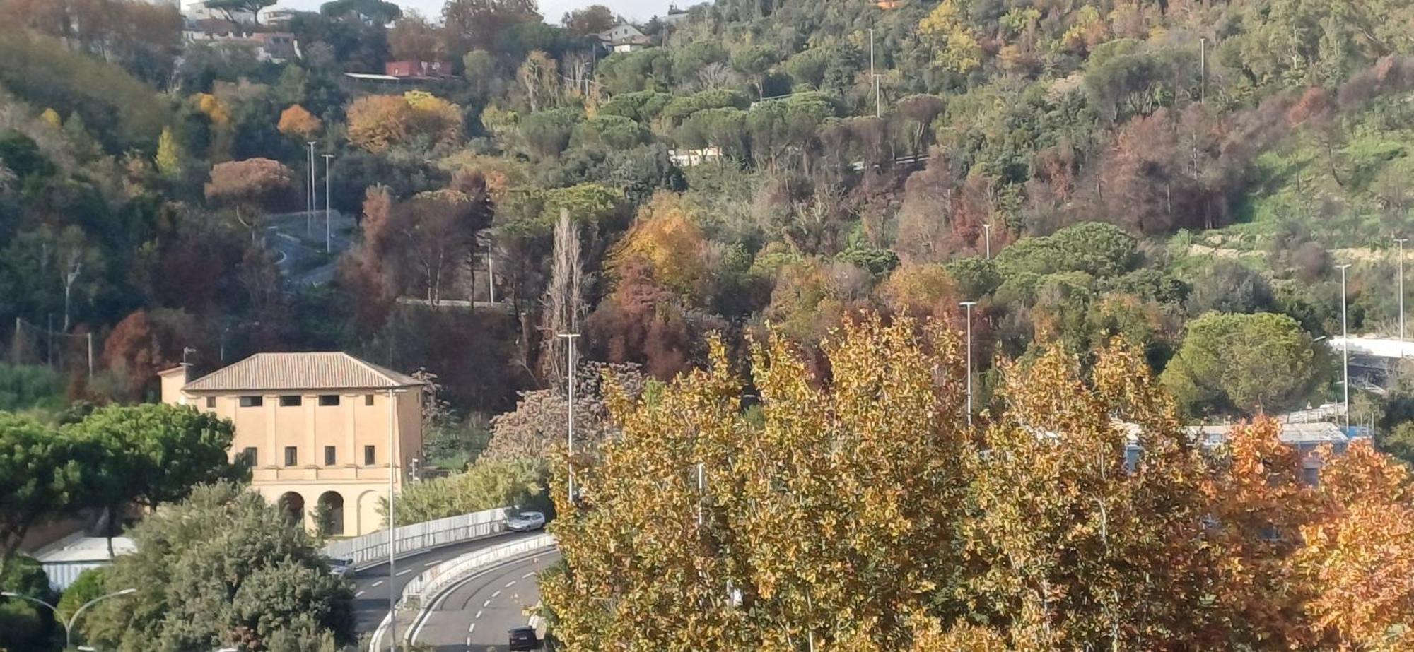 Casetta Clodio